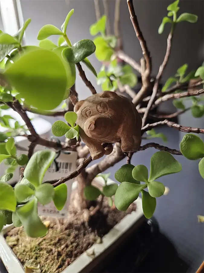 Jimothy the Climber