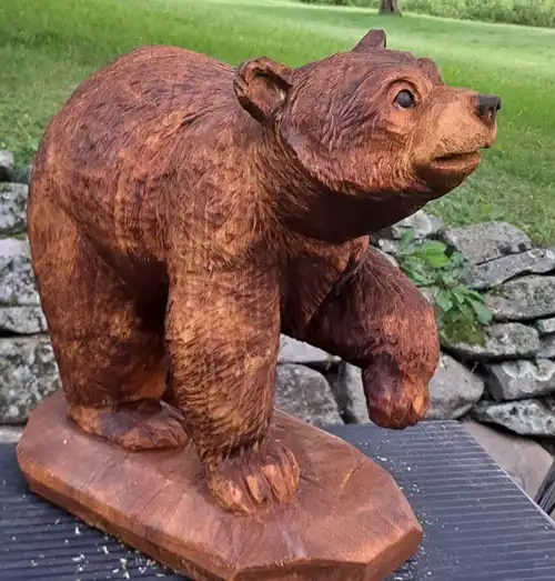 csbear