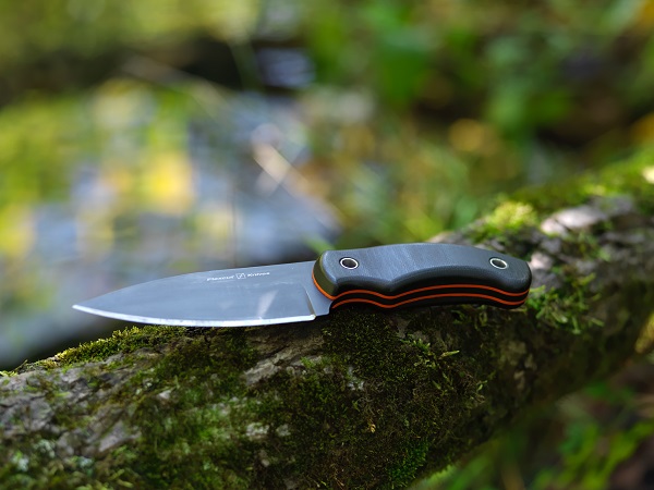 Nomad image