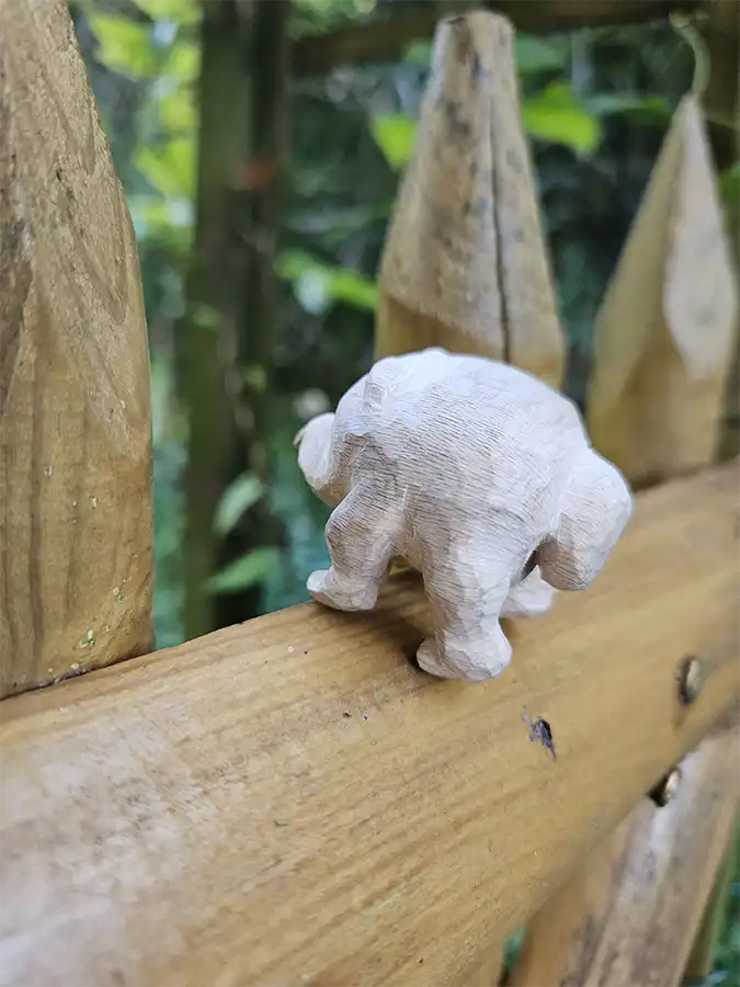Jimothy the Climber2